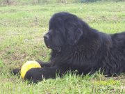 Превью фото № 145737