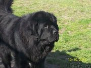 Превью фото № 145746