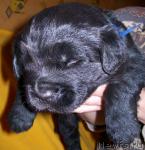 Превью фото № 14576