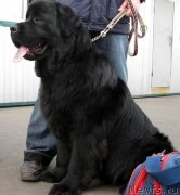 Превью фото № 145948