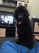 Превью фото № 146218