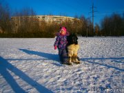 Превью фото № 146324