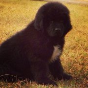 Превью фото № 146391