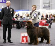 Превью фото № 146444