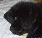 Превью фото № 146483