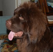 Превью фото № 146484