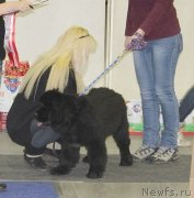 Превью фото № 146487