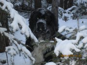 Превью фото № 146557