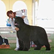 Превью фото № 146631