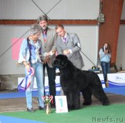 Превью фото № 146633