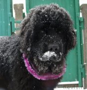 Превью фото № 146693