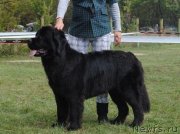 Превью фото № 146702