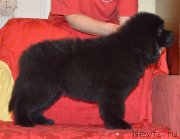 Превью фото № 146725