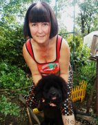 Превью фото № 146774