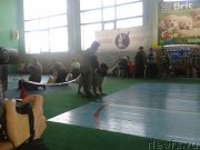 Превью фото № 147049