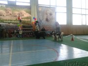 Превью фото № 147050