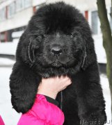 Превью фото № 147056