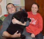 Превью фото № 147082