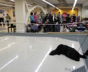 Превью фото № 147135