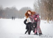 Превью фото № 147160