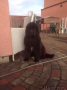 Превью фото № 147164