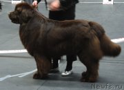 Превью фото № 147208