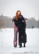 Превью фото № 147209