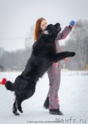 Превью фото № 147225