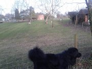 Превью фото № 147242