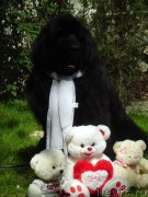 Превью фото № 147277