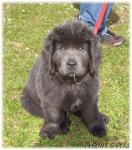 Превью фото № 14728