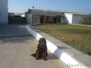 Превью фото № 147342