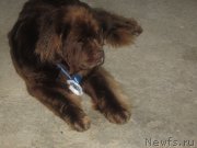 Превью фото № 147346