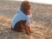 Превью фото № 147350