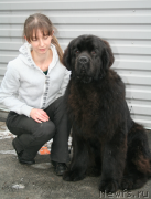 Превью фото № 147462