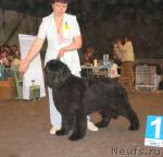 Превью фото № 14750