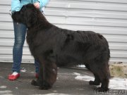 Превью фото № 147500