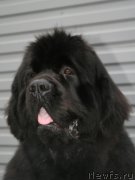 Превью фото № 147526