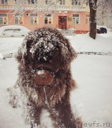 Превью фото № 147595