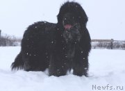 Превью фото № 147611