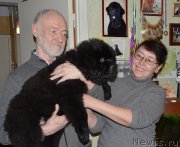 Превью фото № 147618