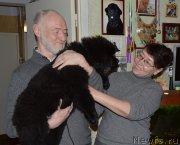 Превью фото № 147619