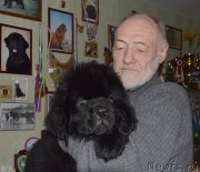 Превью фото № 147620