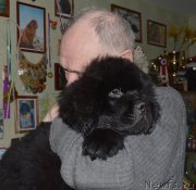 Превью фото № 147621