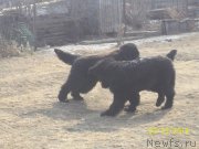 Превью фото № 147622