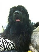 Превью фото № 147661