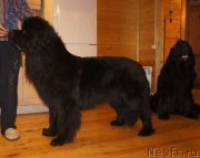 Превью фото № 147691