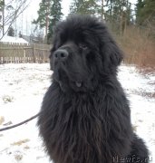 Превью фото № 147743