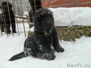 Превью фото № 147749