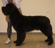 Превью фото № 147789